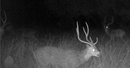 Farm and Ranch for sale in Edwards County, Texas