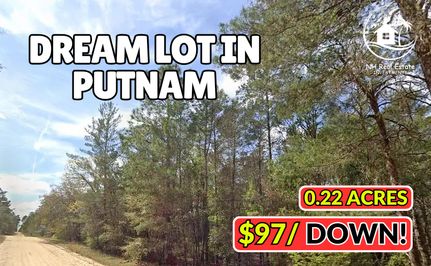 Undeveloped Land for sale in Putnam County, Florida
