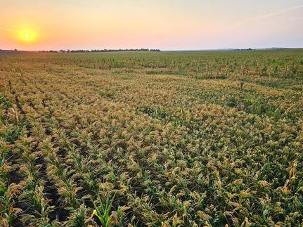 Hunting Property for sale in Cheyenne County, Nebraska