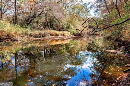Undeveloped Land for sale in Fayette County, Georgia