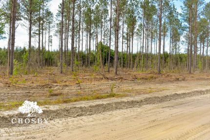 Land for sale in Colleton County, South Carolina