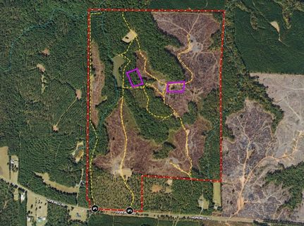 Timberland Property for sale in Monroe County, Georgia