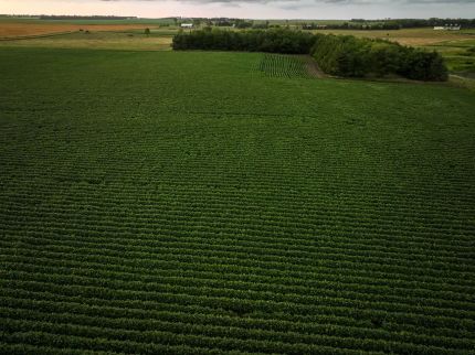 Land for sale in Douglas County, South Dakota