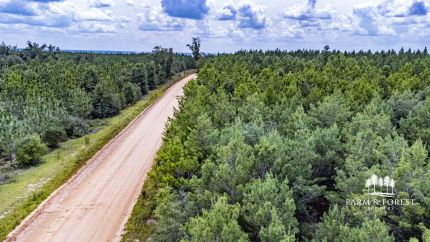 Timberland Property for sale in Jackson County, Florida