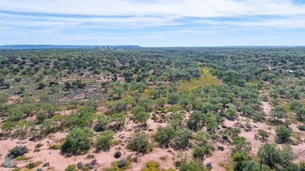 Undeveloped Land for sale in Nolan County, Texas