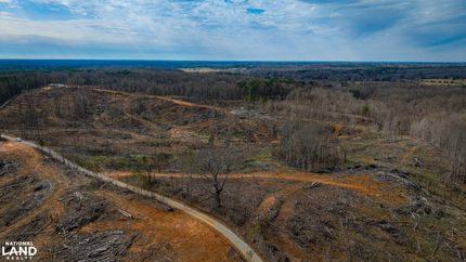 Timberland Property in Union County, Mississippi