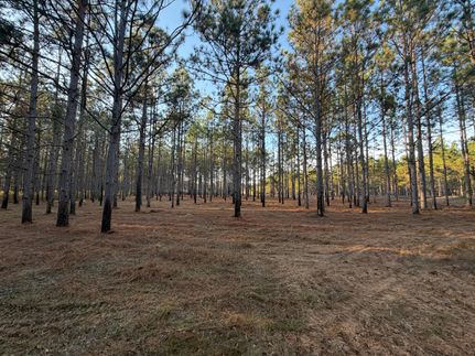 Timberland Property for sale in Pike County, Alabama
