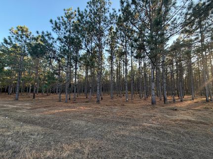 Land for sale in Pike County, Alabama