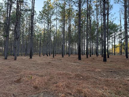 Land for sale in Pike County, Alabama