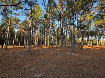 Land for sale in Pike County, Alabama