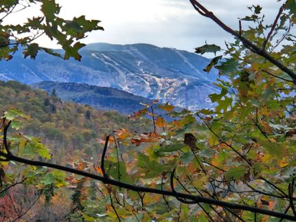 Timberland Property for sale in Oxford County, Maine