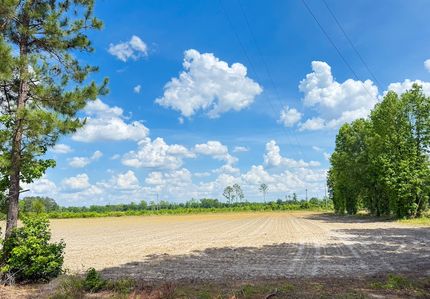 Recreational Property for sale in Marion County, South Carolina