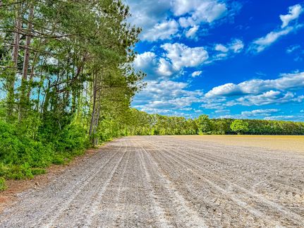 Homesite for sale in Marion County, South Carolina