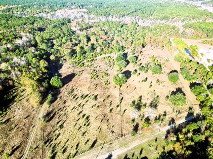 Land for sale in Dorchester County, South Carolina