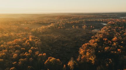 Timberland Property for sale in Spotsylvania County, Virginia