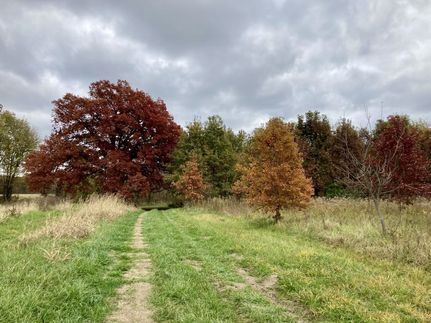 Land for sale in Greene County, Indiana