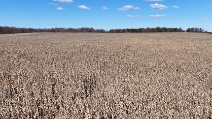 Land for sale in Hillsdale County, Michigan