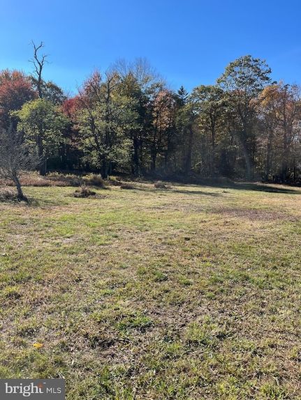 Undeveloped Land for sale in Grant County, West Virginia