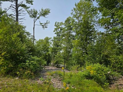 Undeveloped Land for sale in Piscataquis County, Maine