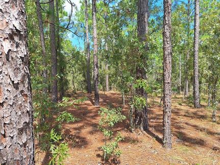 Undeveloped Land for sale in Marion County, Florida