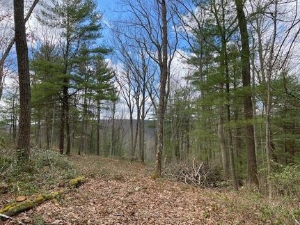 Undeveloped Land for sale in Sullivan County, New York