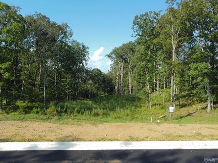Undeveloped Land for sale in Madison County, Alabama