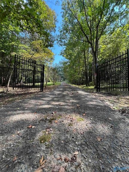 Undeveloped Land for sale in DeKalb County, Alabama