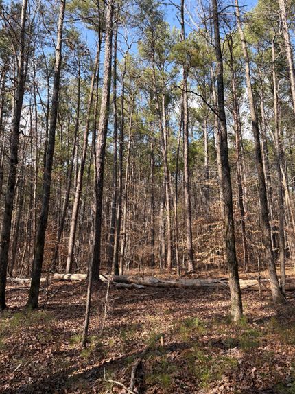 Timberland Property for sale in Jefferson County, Alabama