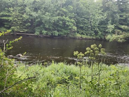 Land for sale in Price County, Wisconsin