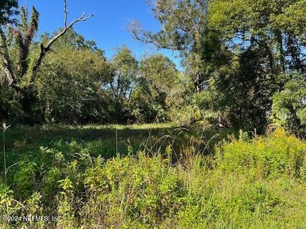 Undeveloped Land for sale in Duval County, Florida