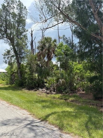Land for sale in Lee County, Florida