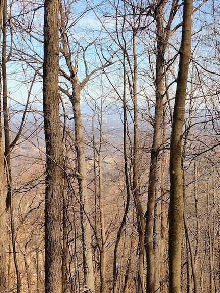 Land for sale in Roanoke County, Virginia