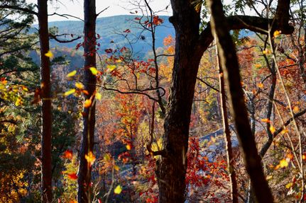 Hunting Property for sale in Le Flore County, Oklahoma