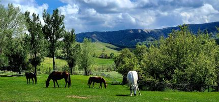Recreational Property for sale in Sheridan County, Wyoming