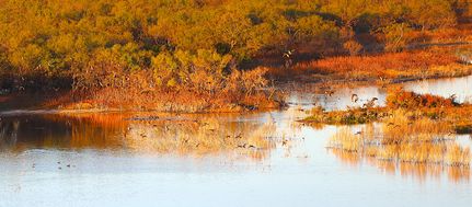 Land for sale in Concho County, Texas