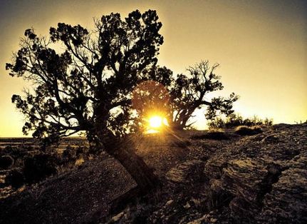 Recreational Property for sale in Apache County, Arizona