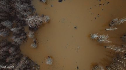 Land in Gibson County, Tennessee