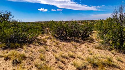 Undeveloped Land for sale in Apache County, Arizona