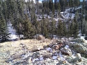 Land for sale in Chaffee County, Colorado