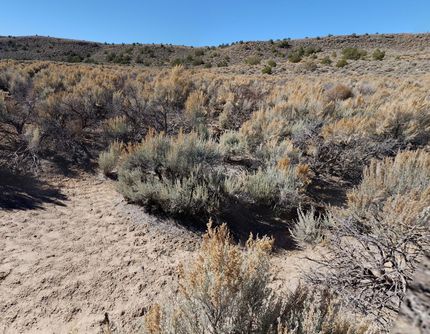 Homesite for sale in Costilla County, Colorado