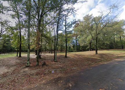 Undeveloped Land for sale in Camp County, Texas