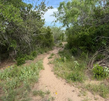 Land for sale in Live Oak County, Texas