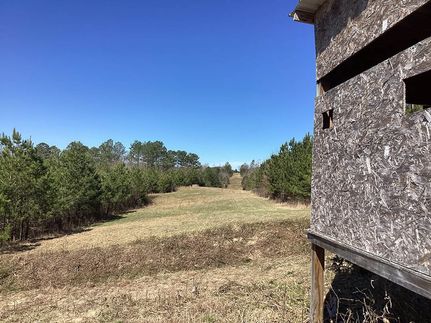 Land for sale in Polk County, Arkansas