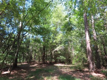 Undeveloped Land for sale in Lexington County, South Carolina