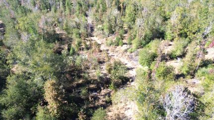 Farm and Ranch for sale in Houston County, Texas