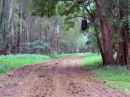 Hunting Property for sale in Adams County, Mississippi