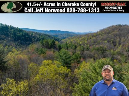 Undeveloped Land for sale in Cherokee County, North Carolina