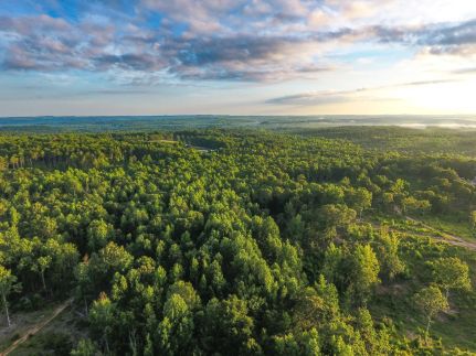 Land for sale in Haralson County, Georgia