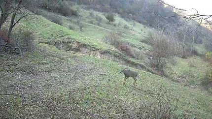 Land for sale in Grant County, Wisconsin