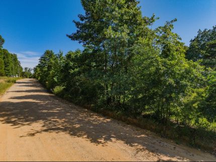 Undeveloped Land for sale in Stone County, Arkansas